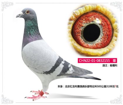 �����켪��������ֲ��رȻ�500����3108��7��   ��	