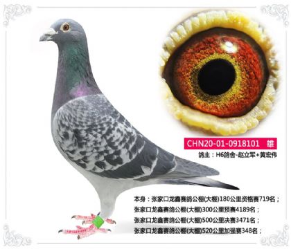 �żҿ��������빫��(����)520�����ǿ��348��   ��	