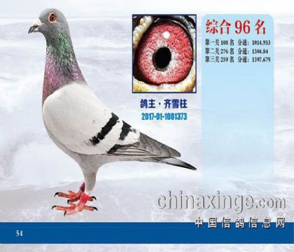 �����캣����ְҵ������ֲ�ǧ�رȻ������ۺ�96�� ��	