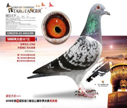 �żҿڴ������빫��500�������187��   ��	