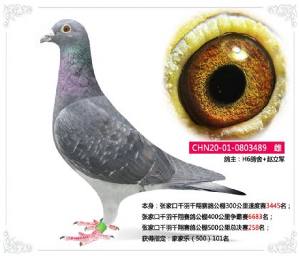 �żҿ�ǧ��ǧ�����빫��500�����ܾ���258��   ��	