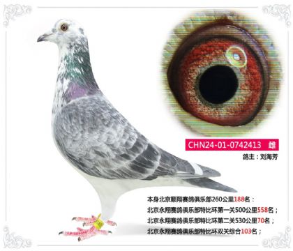 ��������������ֲ��رȻ�˫���ۺ�103��   ��	