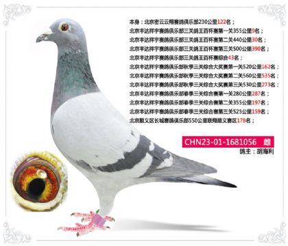 �����������������ֲ����ظ����ٱ����ۺ�43��   ��	