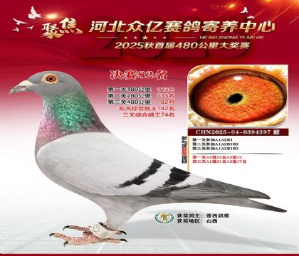 河北众亿赛鸽寄养中心82名