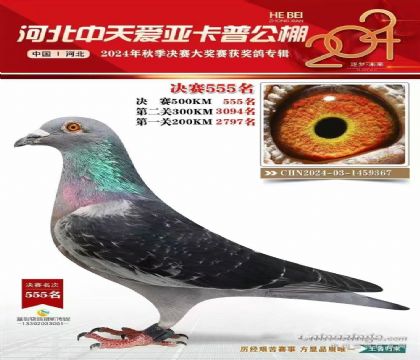 ���ݰ��ǿ��վ���555�����۸룩