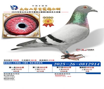 �������վ���8��