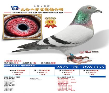 �������վ���13�����Ĺظ����ھ���