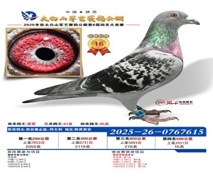 �������վ���16��