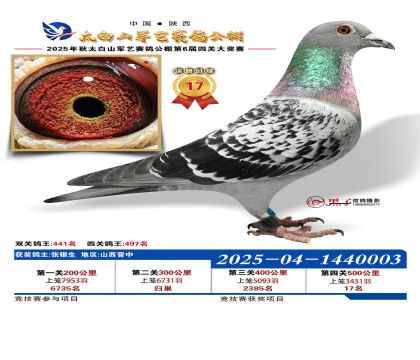 �������վ���17��