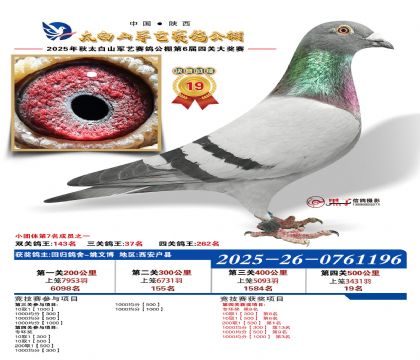 �������վ���19��