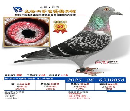 �������վ���20��