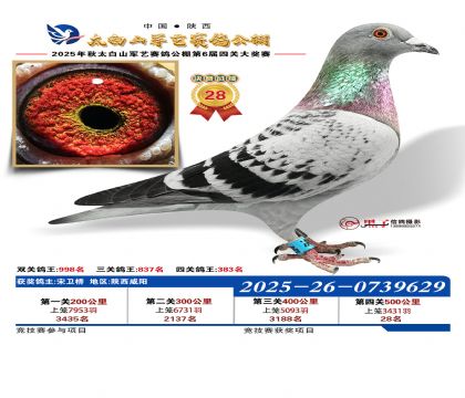 �������վ���28��