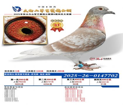 �������վ���31��