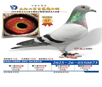 �������վ���37��