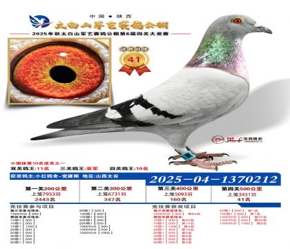 �������վ���41�����Ĺظ���10����