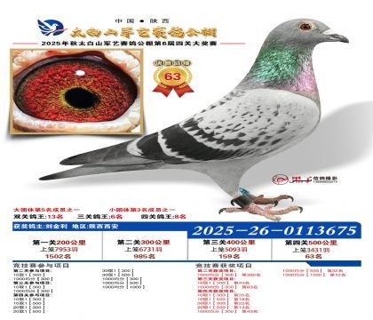 �������վ���63�����Ĺظ���8����