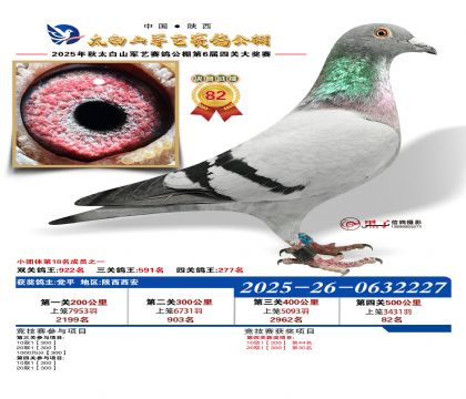 �������վ���82��