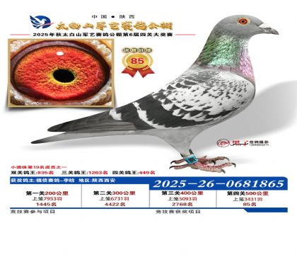 �������վ���85��