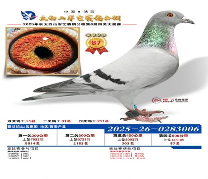 �������վ���87��