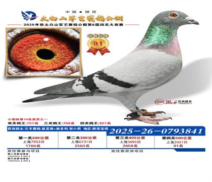 �������վ���91��