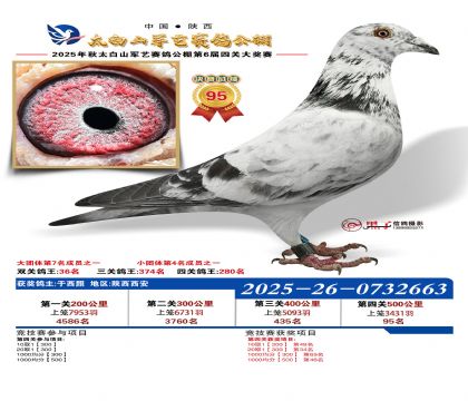 �������վ���95��