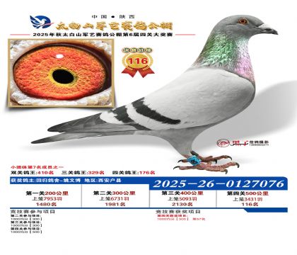 �������վ���116��