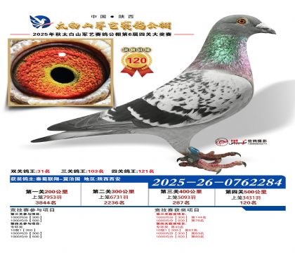 �������վ���120��