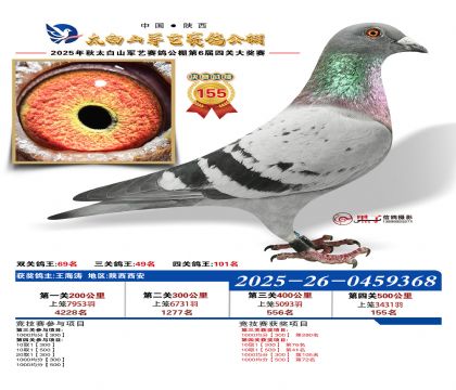 �������վ���155��