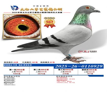 �������վ���167��