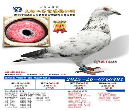 �������վ���181��