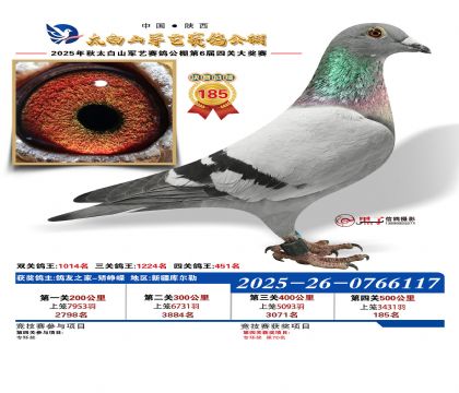 �������վ���185��