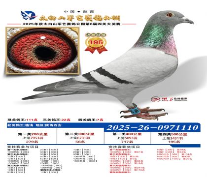 �������վ���195�����Ĺظ���7����