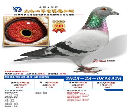 �������վ���198��