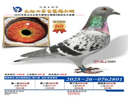 �������վ���202��