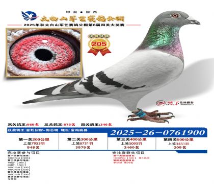 �������վ���205��