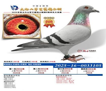 �������վ���206��