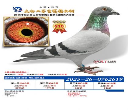 �������վ���210��