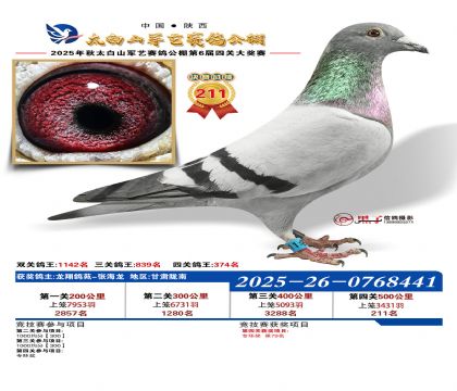 �������վ���211��