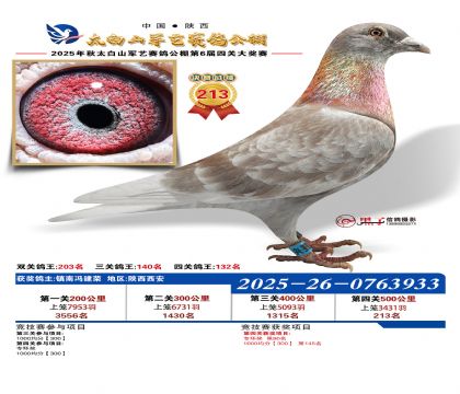 �������վ���213��