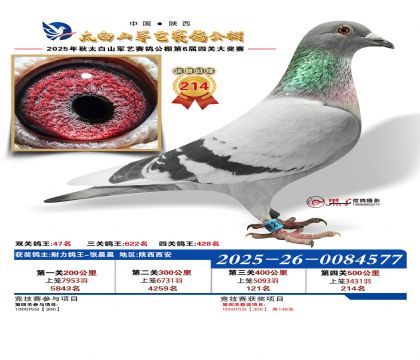 �������վ���214��