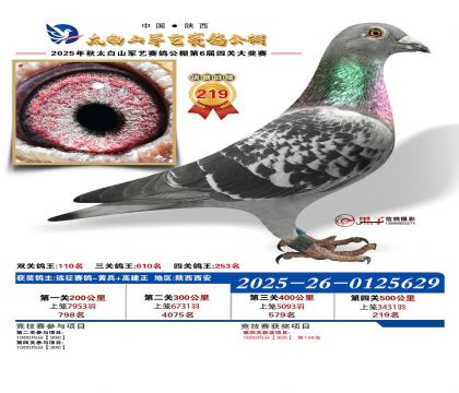 �������վ���219��