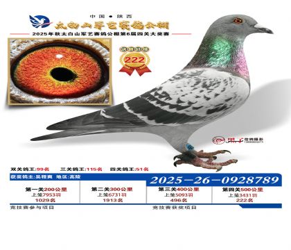 �������վ���222��