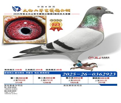 �������վ���223��