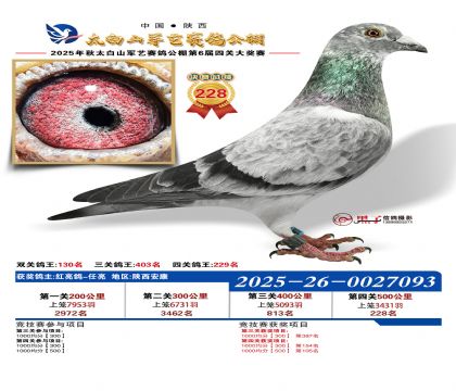 �������վ���228��