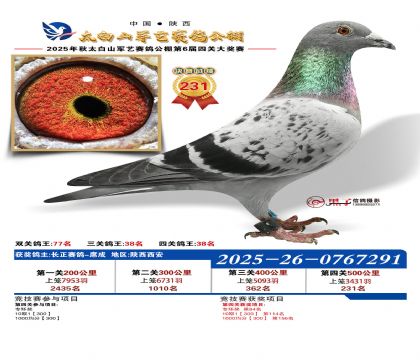 �������վ���231��