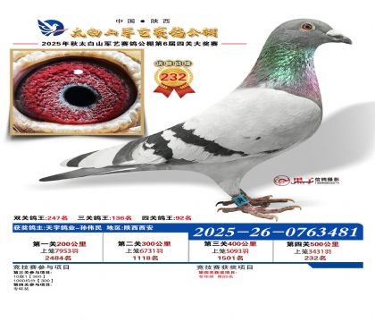 �������վ���232��