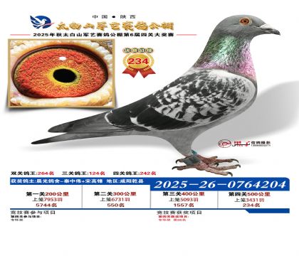 �������վ���234��