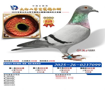 �������վ���239��