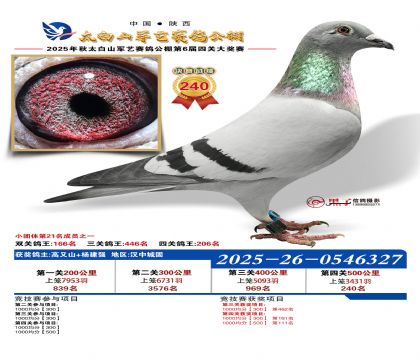 �������վ���240��