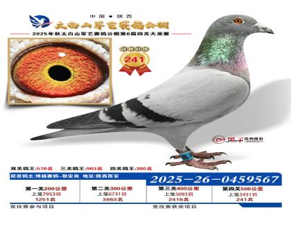 �������վ���241��